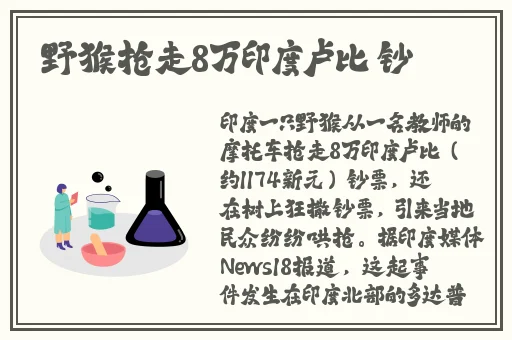19岁女rapper老狼仙踪林